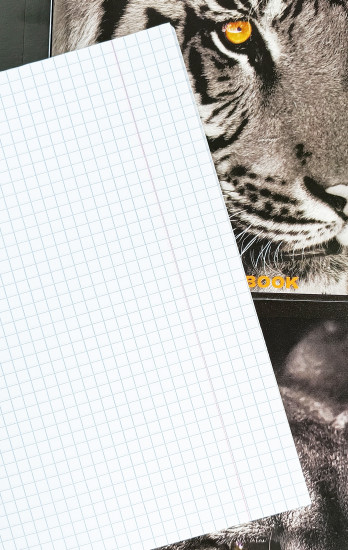 Комплект общих тетрадей клетка «Wild»