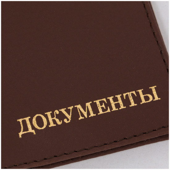 Обложка для автодокументов