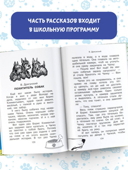 Большая собачья книга