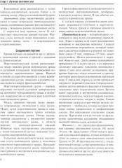 Визуализация заболеваний шеи - Фото 5
