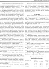 Визуализация заболеваний шеи - Фото 6