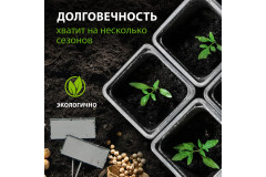 Набор горшочков для рассады - Фото 2