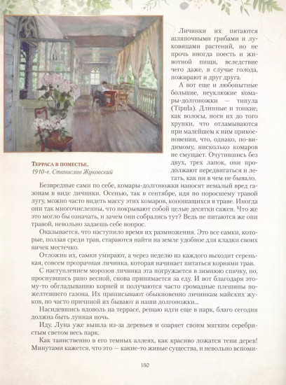 Дары русского леса. Грибы, ягоды и целебные растения