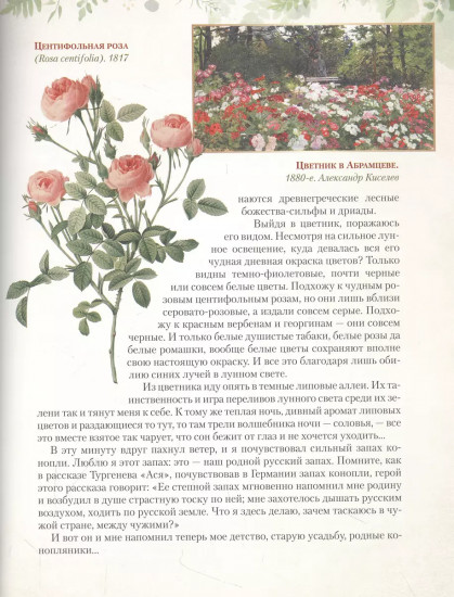 Дары русского леса. Грибы, ягоды и целебные растения