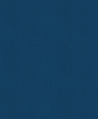 История России. Славяне до IX в. —1304 г. - Фото 2