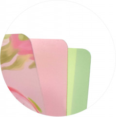 Папка для документов «Драконий фрукт» - Фото 1