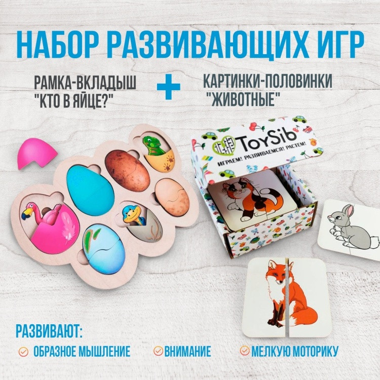 Набор развивающих игр | ToySib | Фото 1