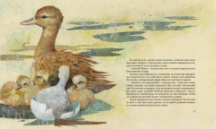 Гадкий утенок - Фото 3