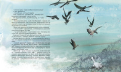 Гадкий утенок - Фото 6