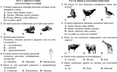 Тесты. Окружающий мир. 2 класс: Природа и рукотворный мир. Прописи - Фото 4