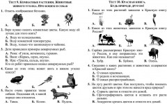 Тесты. Окружающий мир. 2 класс: Природа и рукотворный мир. Прописи - Фото 5