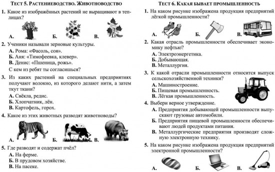 Тесты. Окружающий мир. 3 класс: Города и страны. Проверь себя. Прописи