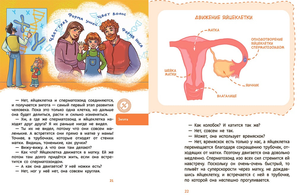 Откуда берутся дети. Детская энциклопедия | Чевостик | Фото 6