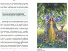 Мифология Толкина. От эльфов и хоббитов до Нуменора и Ока Саурона - Фото 3