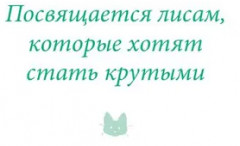 Девочка с лисьим хвостом. Том 5 - Фото 5