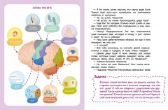 Как устроен мозг. Детская энциклопедия - Фото 3