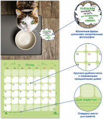 Календарь-органайзер на 2025 год «Котоворот событий» - Фото 2