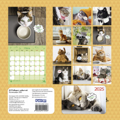 Календарь-органайзер на 2025 год «Котоворот событий» - Фото 3