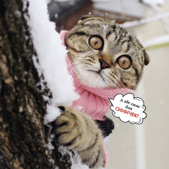 Календарь-органайзер на 2025 год «Котоворот событий» - Фото 5