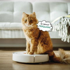 Календарь-органайзер на 2025 год «Котоворот событий» - Фото 7