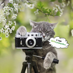 Календарь-органайзер на 2025 год «Котоворот событий» - Фото 8