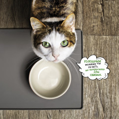 Календарь-органайзер на 2025 год «Котоворот событий» - Фото 9