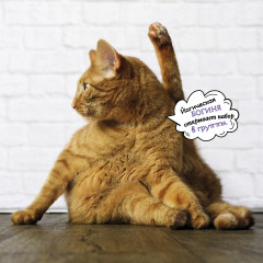 Календарь-органайзер на 2025 год «Котоворот событий» - Фото 10