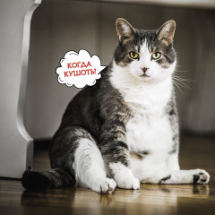 Календарь-органайзер на 2025 год «Котоворот событий» - Фото 13