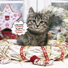 Календарь-органайзер на 2025 год «Котоворот событий» - Фото 15