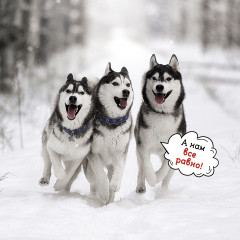 Календарь-органайзер на 2025 год «Лучшие друзья» - Фото 5