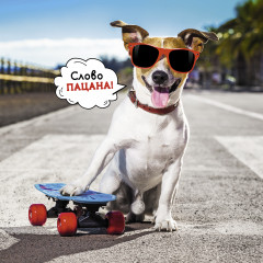 Календарь-органайзер на 2025 год «Лучшие друзья» - Фото 8