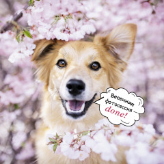 Календарь-органайзер на 2025 год «Лучшие друзья» - Фото 9