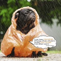 Календарь-органайзер на 2025 год «Лучшие друзья» - Фото 12