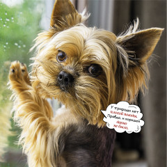 Календарь-органайзер на 2025 год «Лучшие друзья» - Фото 13