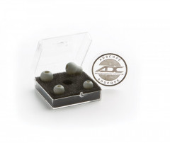 Стетоскоп 600 GP - Фото 6