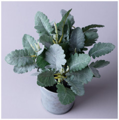 Композиция декоративная «Каланхое» - Фото 1