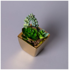 Суккулент искусственный в горшке - Фото 1