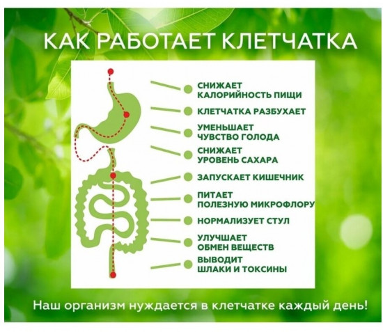 Клетчатка «Яблоко»