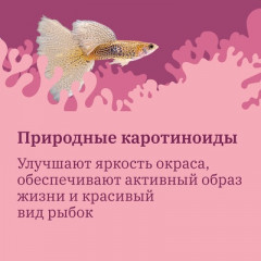 Корм для аквариумных рыб повседневный хлопьевидный - Фото 3