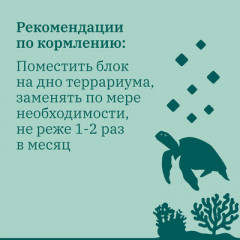 Камень минеральный для водных черепах - Фото 6