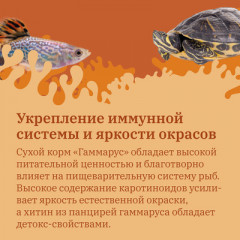 Корм сухой для рыб и водных черепах «Гаммарус. Тушка» - Фото 2