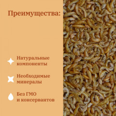 Корм сухой для рыб и водных черепах «Гаммарус. Тушка» - Фото 3