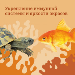 Корм сухой для рыб и водных черепах «Гаммарус. Тушка» - Фото 5