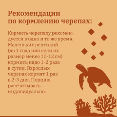 Корм сухой для рыб и водных черепах «Гаммарус. Тушка» - Фото 6
