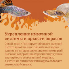Корм сухой для рыб «Гаммарус измельченный» - Фото 2