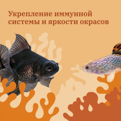 Корм сухой для рыб «Гаммарус измельченный» - Фото 5