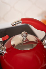 Чайник со свистком - Фото 2