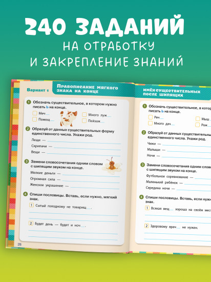 Начальная школа. Экспресс-контроль. Русский язык. 3-4 классы