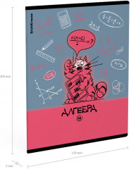 Тетрадь предметная «Алгебра» - Фото 2