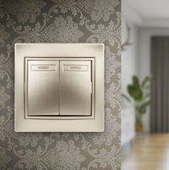 Выключатель двухклавишный - Фото 3